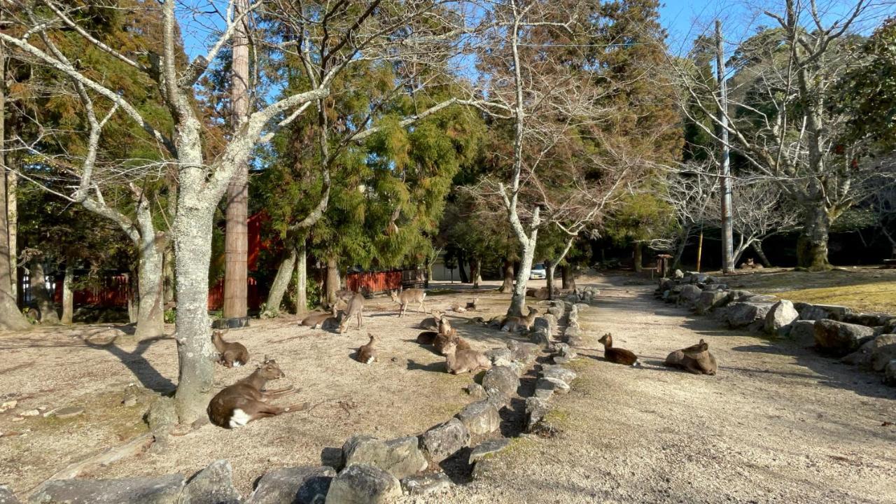 Miyajima Morinoyado Hotel ฮัทสึไคชิ ภายนอก รูปภาพ