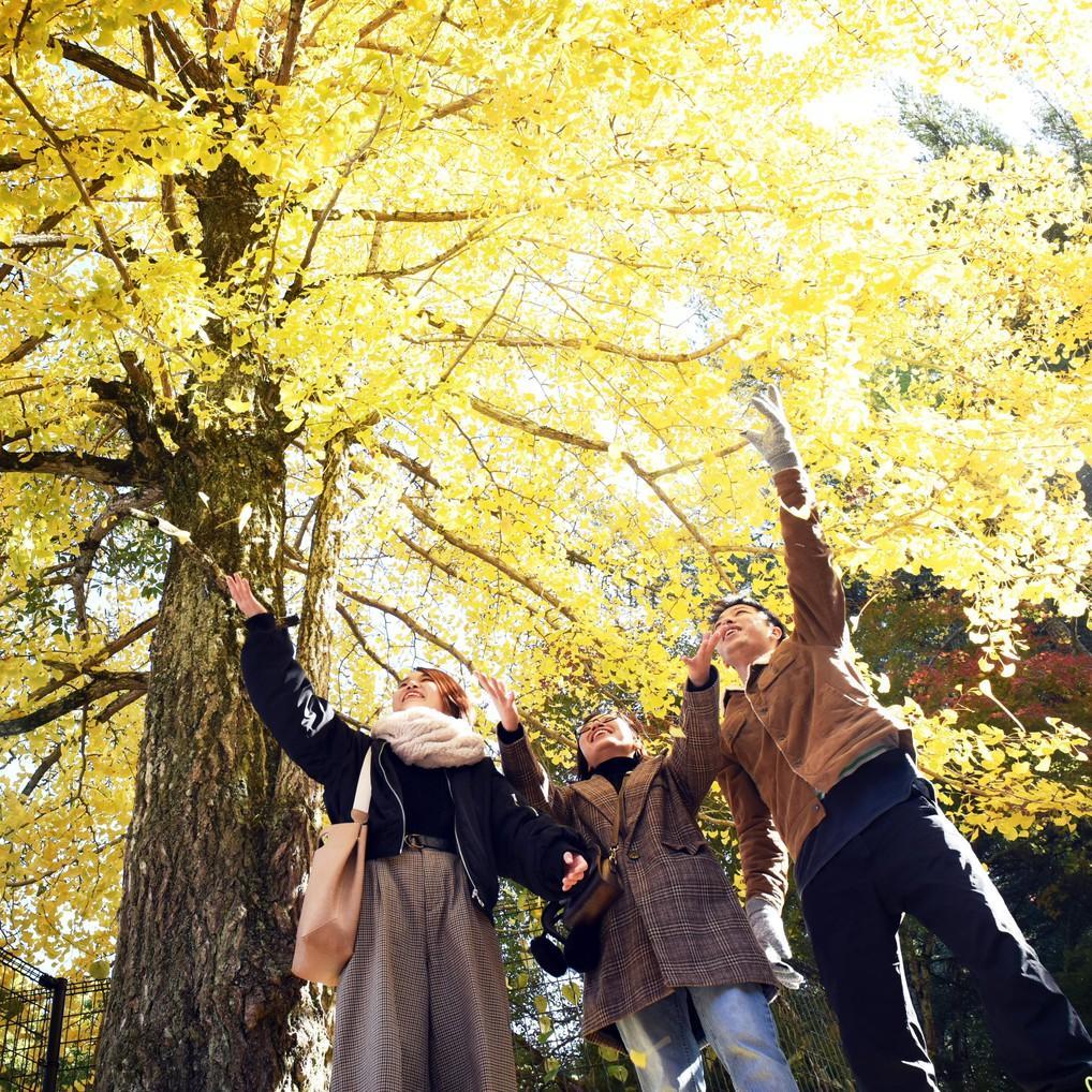 Miyajima Morinoyado Hotel ฮัทสึไคชิ ภายนอก รูปภาพ