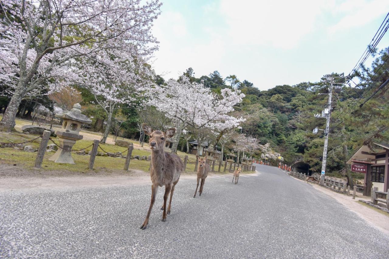 Miyajima Morinoyado Hotel ฮัทสึไคชิ ภายนอก รูปภาพ